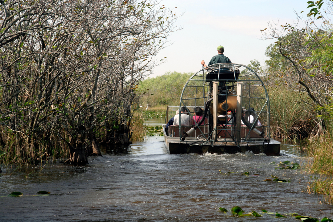 Loxahatchee Everglades Airboat Tours