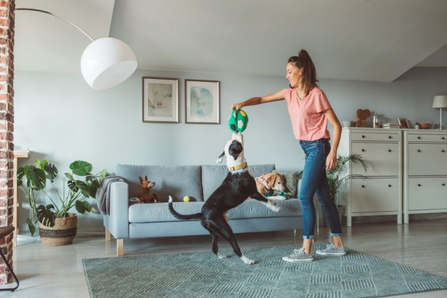 Selling your home with pets: Creating a pet-friendly environment