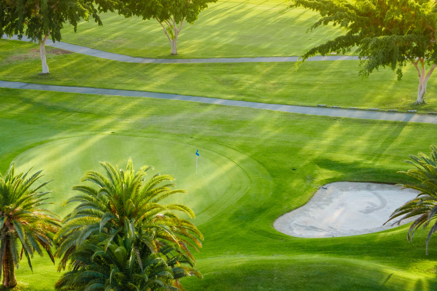 Palm Beach County's golf courses